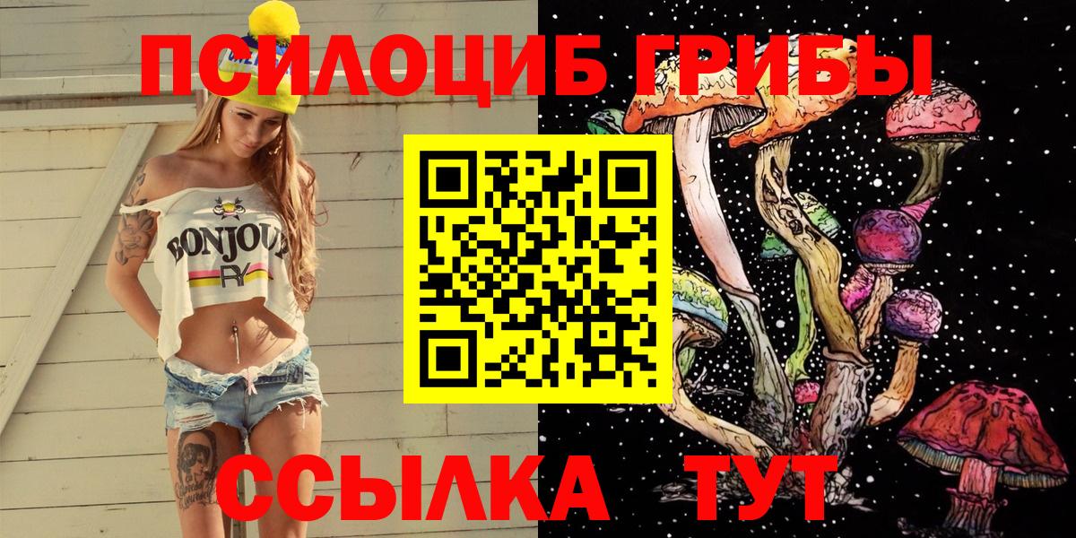 Сочи  Псилоцибиновые грибы прущие грибы  Вход с VPN  Псилоцибиновые грибы Psilocybe 