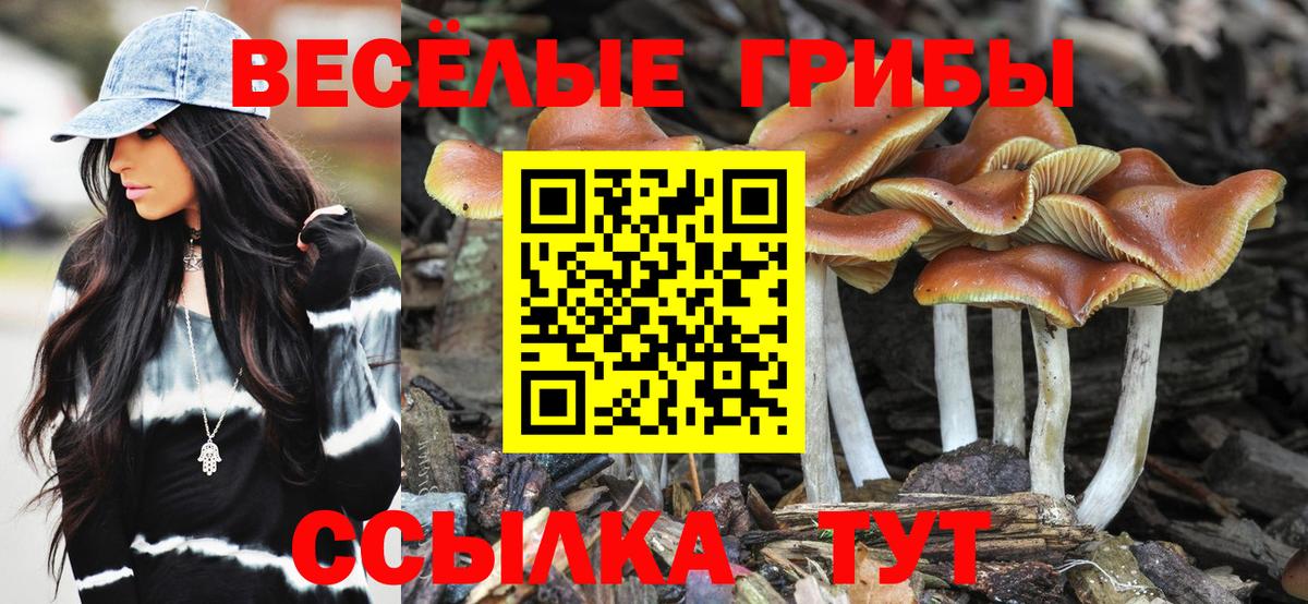 Галлюциногенные грибы ЛСД Сочи